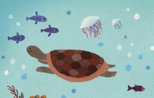 �����ٴ�_019_170x120_SP-3.jpg"