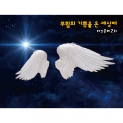 [디자인다소]천사날개포토존현수막-037