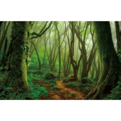 [디자인다소]숲속배경현수막-130