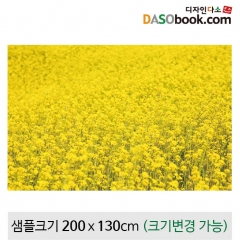 [디자인다소]봄배경현수막(유채꽃)-129